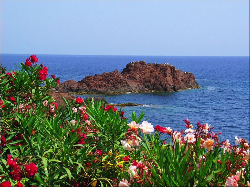 Vacanceole - Les Calanques Du Parc Fréjus Zewnętrze zdjęcie