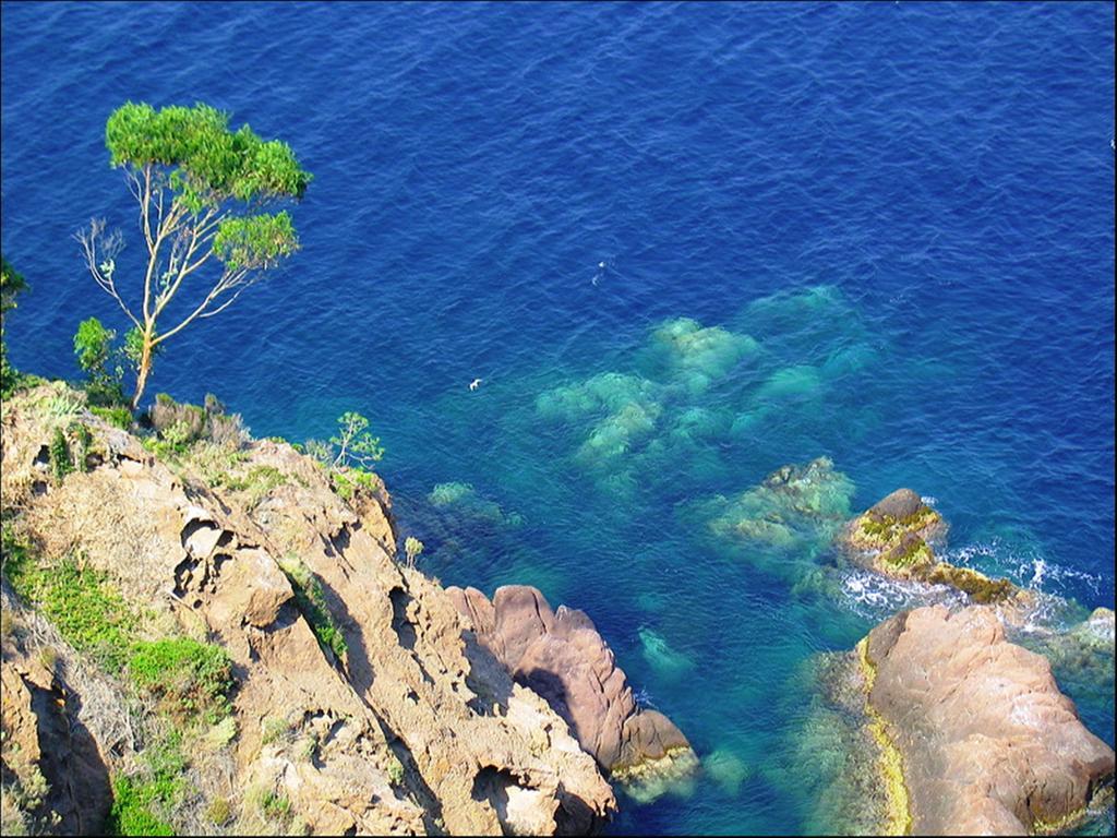 Vacanceole - Les Calanques Du Parc Fréjus Zewnętrze zdjęcie